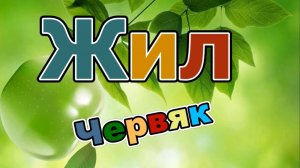 Жил червяк