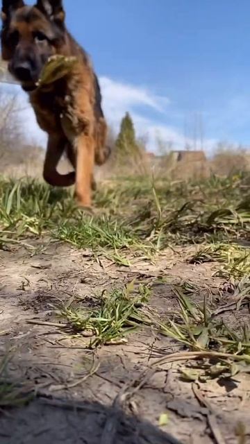 У немцев разве должна быть такая фигура смотреть онлайн