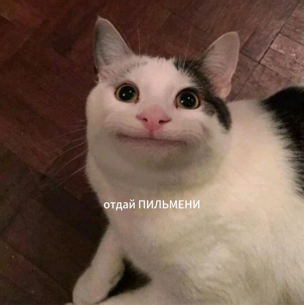 общаюсь с подписчиками играю в Roblox