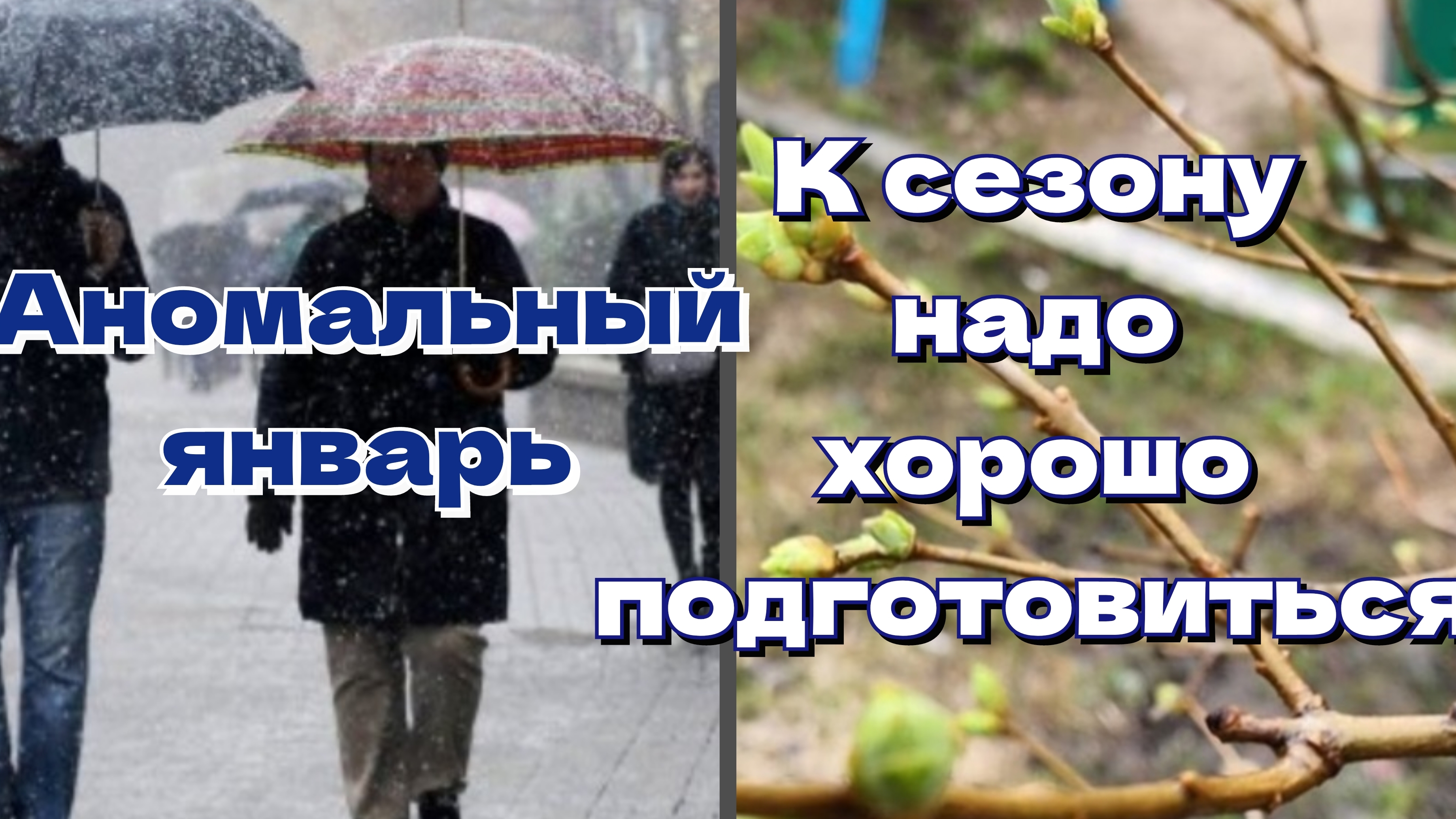 Весна 2025. Чего ждать дачникам после аномально тёплой зимы смотреть онлайн