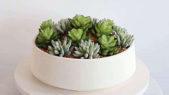 Eva Artificial Succulent Arrangement in Low White Pot (Large) смотреть онлайн