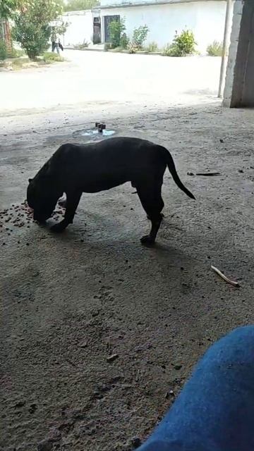 antes del parto 15 días aproximadamente смотреть онлайн