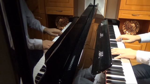 F. F. Chopin Nocturne Op. 9-2 Andante смотреть онлайн