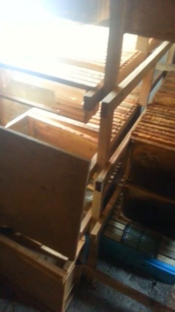 Сотохранилище. Золотой запас пчеловода. смотреть онлайн