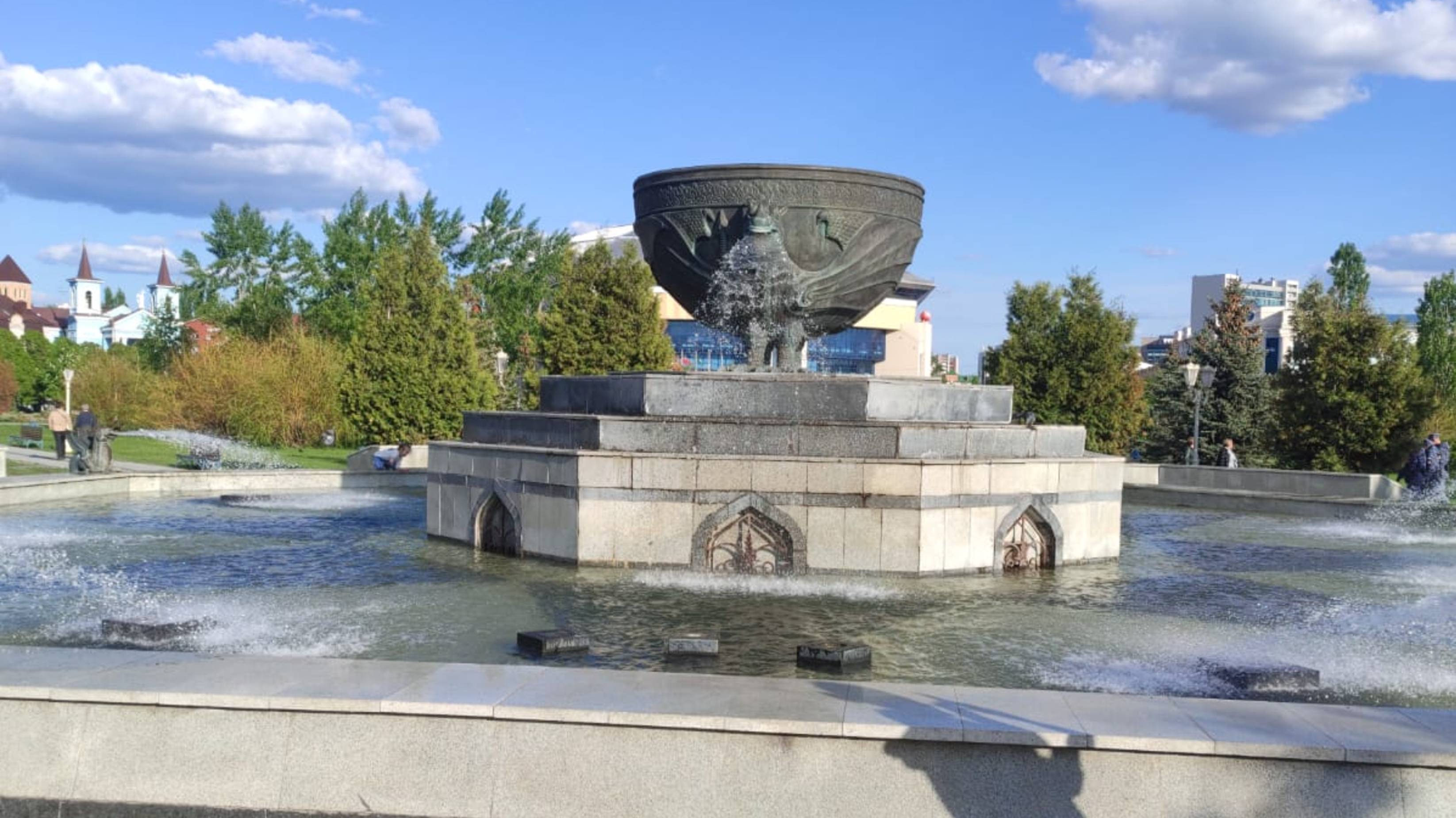 Что купила 05.02.25 г.