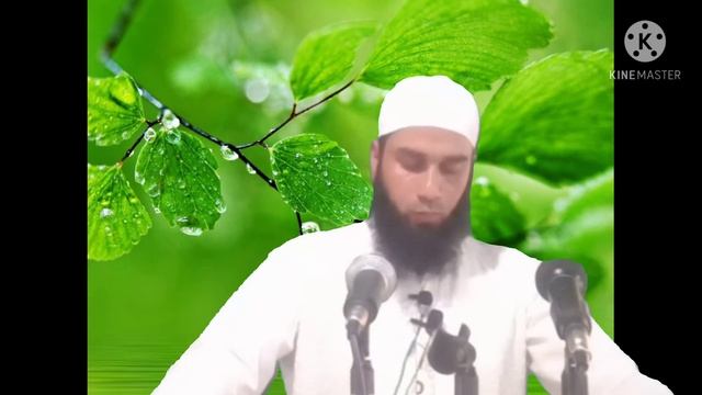 NAAT Molive javid ahmad gojree смотреть онлайн