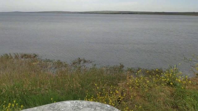 На высоком берегу. Наше любимое место. Кузя. Май, 2024 смотреть онлайн