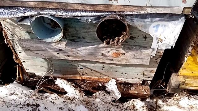 #17 24.3.22 нашли щель между дном и корпусом смотреть онлайн