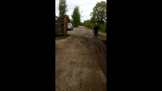 Жестокости нашей одминистрации нет придела стродают безащитные животные смотреть онлайн