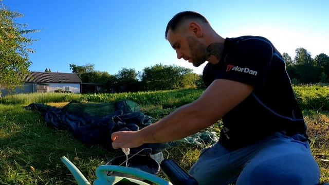 У Розсади завжди буде гарне коріння якщо ЦЕ ЗРОБИТИ-Вношу Фосфор і захищаю від Хруща смотреть онлайн