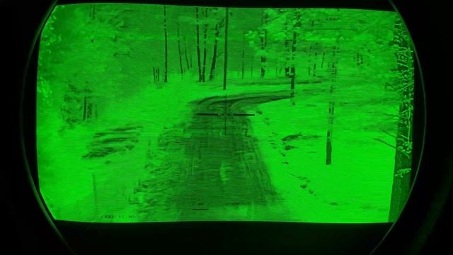 US Army Soldier reaction to Black Panther Sighting in South Carolina смотреть онлайн