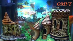 274. КУДА ПРИЛЕПЛЯЮТСЯ СУЩИ и НЕ ТОЛЬКО...