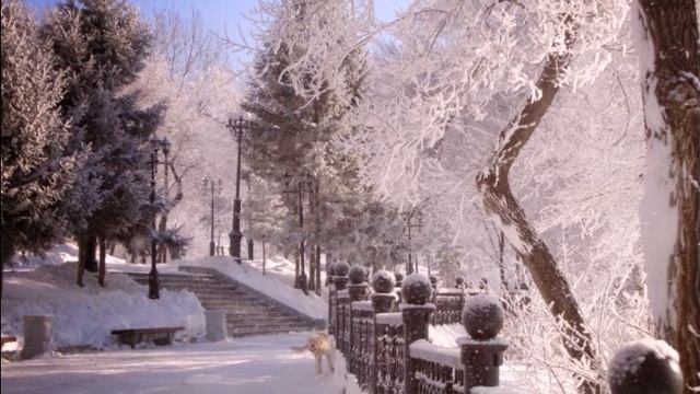 Белый снег смотреть онлайн