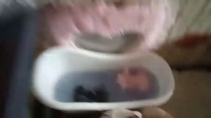 Утро Сквиши Собачек👽💝