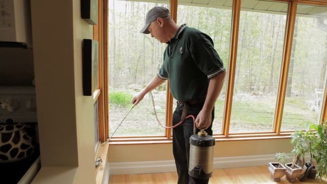 Carpenter Ants ~How to get rid of Carpenter Ants & Ant Prevention смотреть онлайн