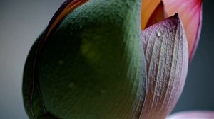 Тантра Мантра для медитации