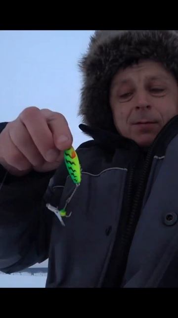 Светлячек И Берш смотреть онлайн