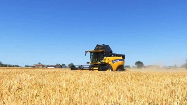 Żniwa 2019 ☆ New Holland CX5.80 ☆ Bizon Z056 Super ☆ Jęczmień ozimy смотреть онлайн