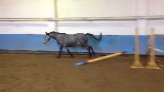 Кадриль http://kupitloshad.by/ смотреть онлайн