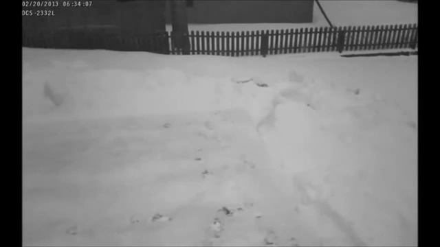 D-Link DCS-2332L HD Outdoor Wireless-N IP Camera Demo смотреть онлайн