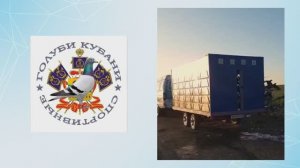 Спортивные голуби Кубани