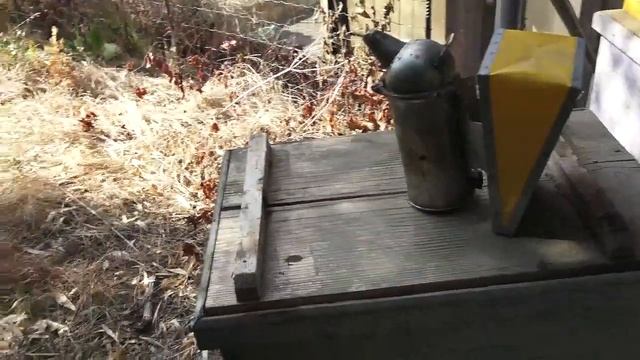 trattamento anti varroa alle api in due alveare arnia sartori a favo caldo in assenza di covata смотреть онлайн