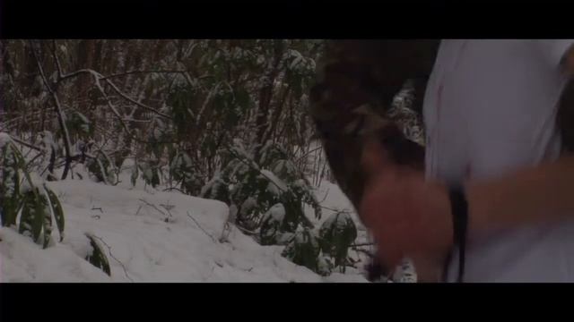 MUCKY HERBERT MUSIC: "Black Dolphin Run" смотреть онлайн