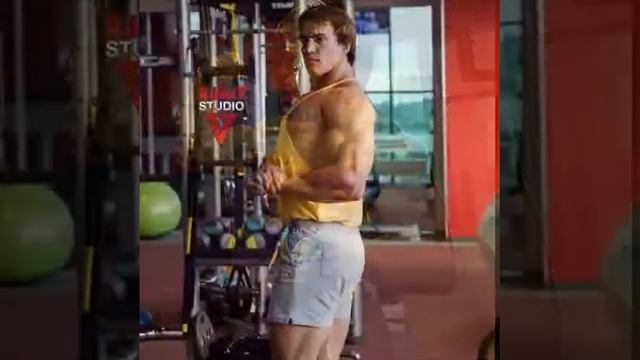Arnold Schwarzenegger benzeri Anton Ryskin смотреть онлайн