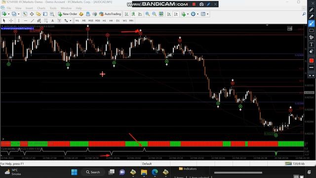 BINARY PROFIT INDICATOR RENKO STREET V3 ACCURACY 80% FOR BINARY AND FOREX#binaryoptions #binary смотреть онлайн