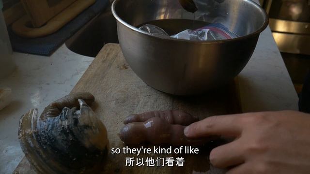 Catch And Cook Penis Fish!! Warning Gross, Will You Give This A Try?!