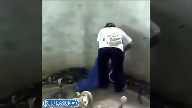 Шок Храбрый Мужчина отбил укус змеи рукой смотреть онлайн