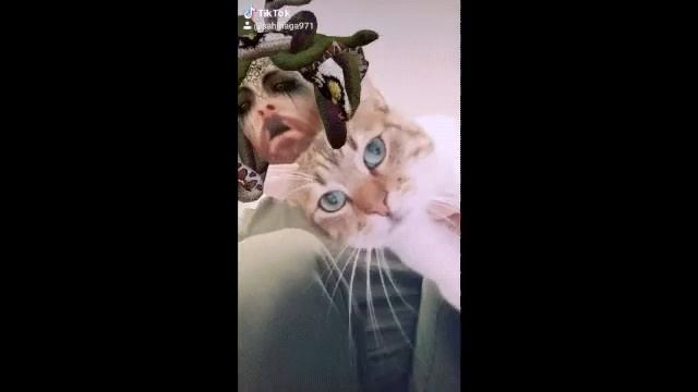 Hayvanlar Alemi Montaj 42 - Küfür Eden Kediler - Cursing Cats смотреть онлайн