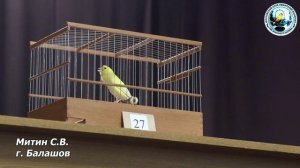 МКЛК конкурс пения канареек 30 ноября 2024 года часть 4.mp4