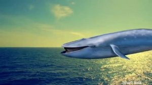 Учим названия и звуки Животных Океана | Животные для детей | Животные Океана для детей