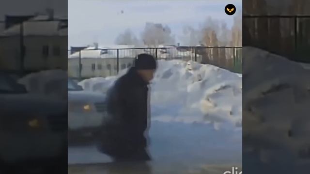 В Новосибирске двое мужчин отбили девочек у бездомной собаки смотреть онлайн