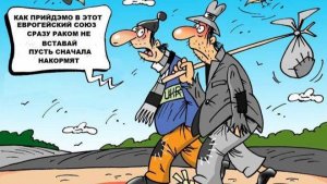 Мошенники всех мастей (сборник 24)