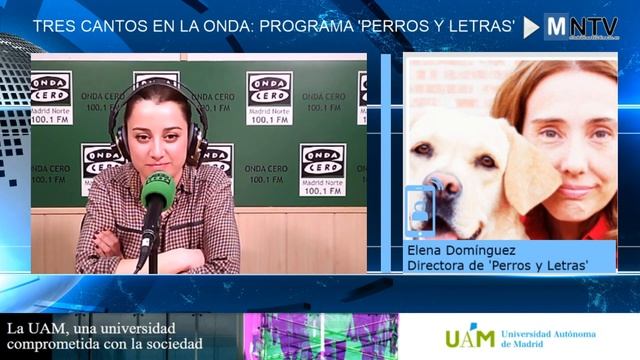 Cuatro colegios de Tres Cantos desarrollan el programa pionero en España ‘Perros y Letras’ смотреть онлайн
