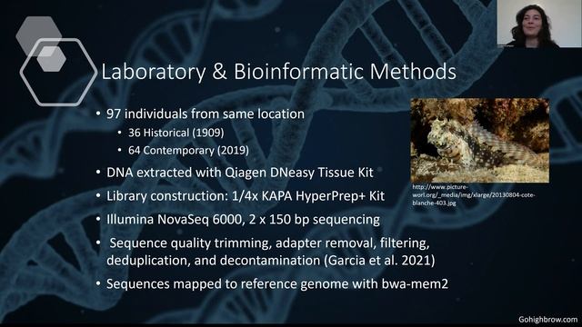 Successful whole genome sequencing of century old Salarias fasciatus specimens - ATBC 2022 смотреть онлайн