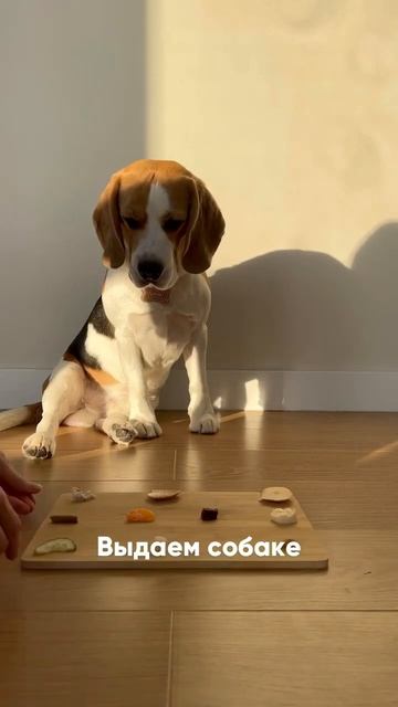 Важные моменты в закреплённом комментарии смотреть онлайн