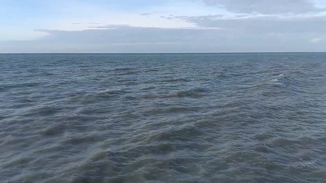 1 декабря 2023 г. смотреть онлайн