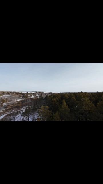Над лесом смотреть онлайн
