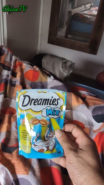 dreamies cat treats #dreamies #cutecat смотреть онлайн