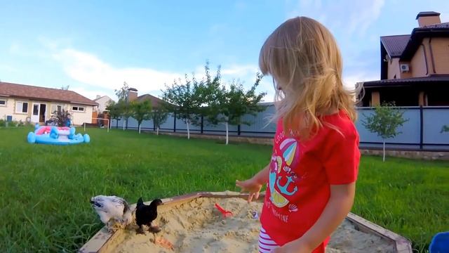 ШОК! КУРЫ СБЕЖАЛИ ИЗ КУРЯТНИКА! НАШИ БУДНИ! Ловим цыплят по всему двору!