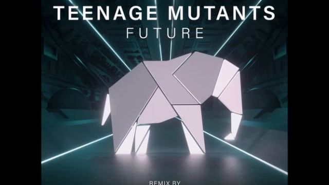 Teenage Mutants - Future (Gallya Remix) смотреть онлайн