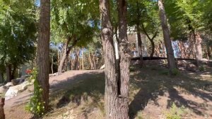 САМЫЙ КРАСИВЫЙ ПАРК ВОРОНЕЖА «ДЕЛЬФИН»