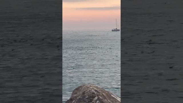 Девятилетний мальчик Серёжа смотреть онлайн