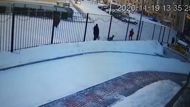 Про наезд на косулю смотреть онлайн