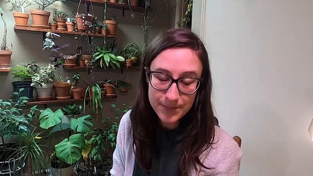 Plant Haul | Plant Trade | Green Curly Spider Plants! смотреть онлайн