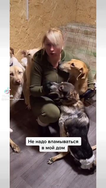 Всякое бывает. Подробности в инст animal_tsarstvo #животные #собаки #домашниеживотные смотреть онлайн