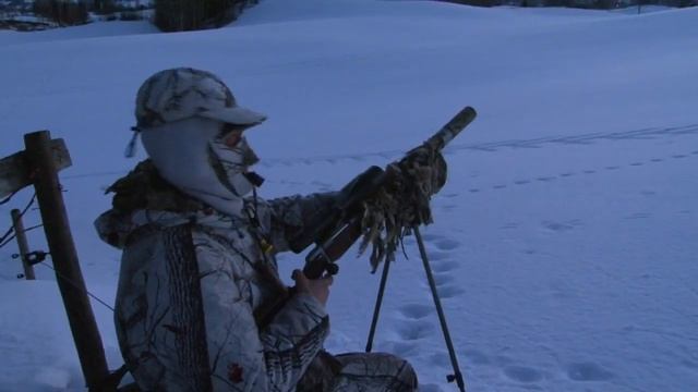 Манок на лиса НОРДИК МІНІ ПРЕДАТОР Nordik Mini Predator смотреть онлайн